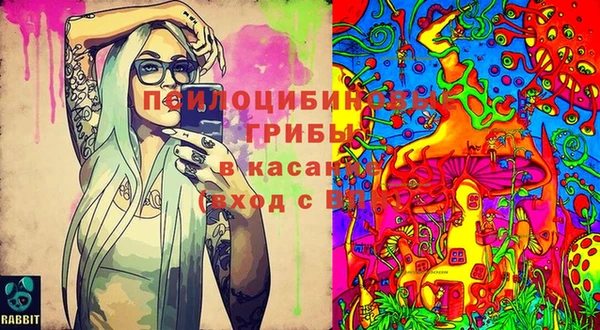 MESCALINE Гусев