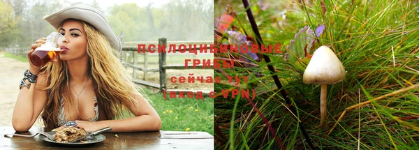 spice Гусь-Хрустальный