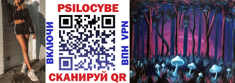 как найти закладки  Шиханы  Галлюциногенные грибы Psilocybine cubensis 